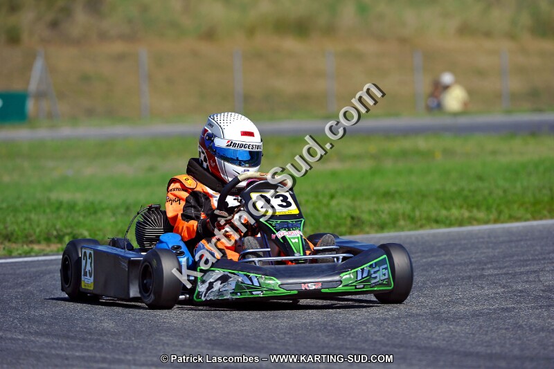 DSC_ (1359).jpg